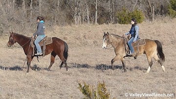 Comanda and Smokin - trail riding #1 - Valley View Ranch