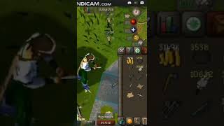 3 Tick Fishing