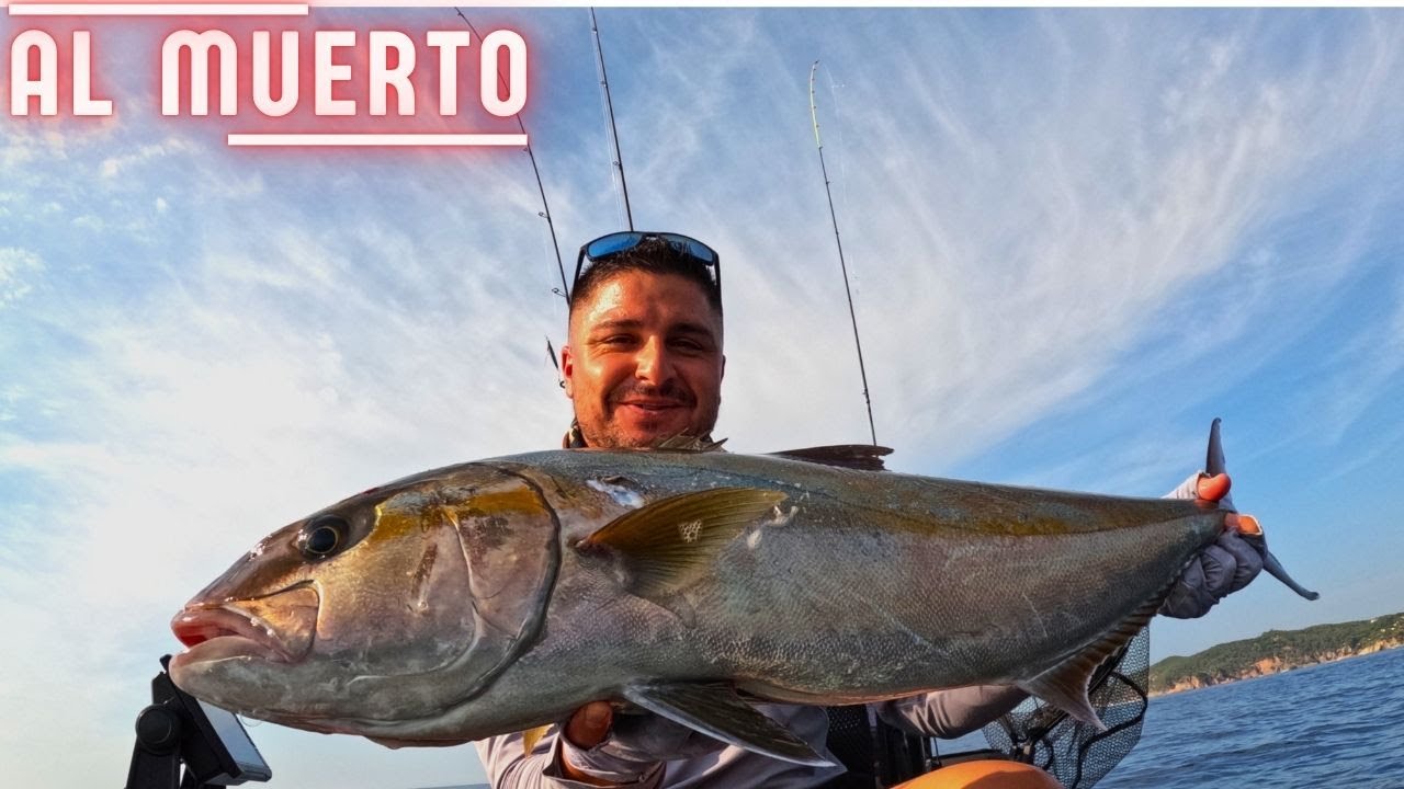 ¡Al vivo!   O AL MUERTO