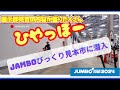 ジャンボびっくり見本市2024に潜入してみた。