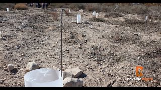 Medio Ambiente realiza una nueva campaña de reforestación escolar