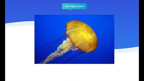 AI Search by image || Deep Learning Project Ideas || VGG16 CNN Model Application