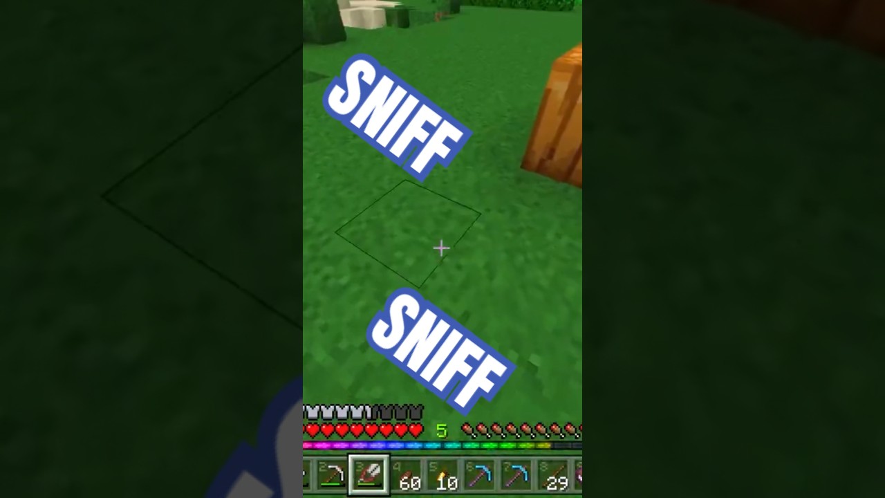 Can I be Baby Sniffer? 🤣😅 #smp