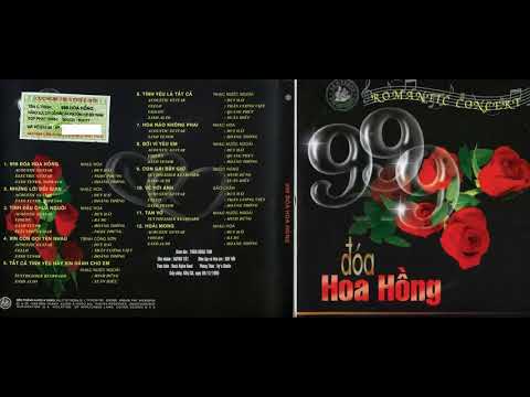 nhạc không lời 999 đóa hồng tại Xemloibaihat.com