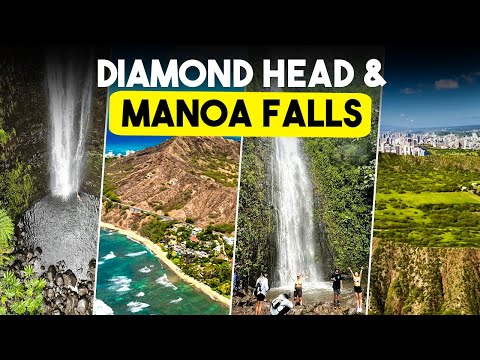 Diamond Head & Manoa Falls Tour Oahu | Explore a Volcano & a Waterfall in a Day! DanielsHawaii.com