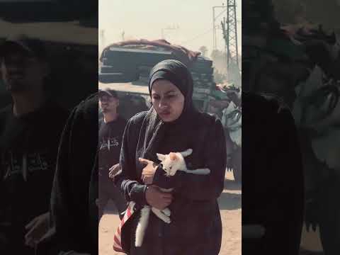 في طريق عودتها إلى الشمال تحتضن قطتها الصغيرة وكأنها تضم ما تبق ى من حياتها الماضية بين الركام