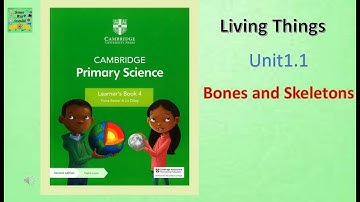 Cambridge Primary Science grade 4| latest Edition| Unit 1.1|Bones and skeleton| Words to learn