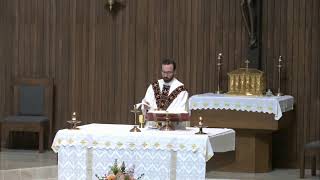 Daily Mass July 14th 2026, St Bridget, Loves Park, IL