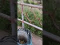 #Shorts #Viral #Trending #MacVlog |