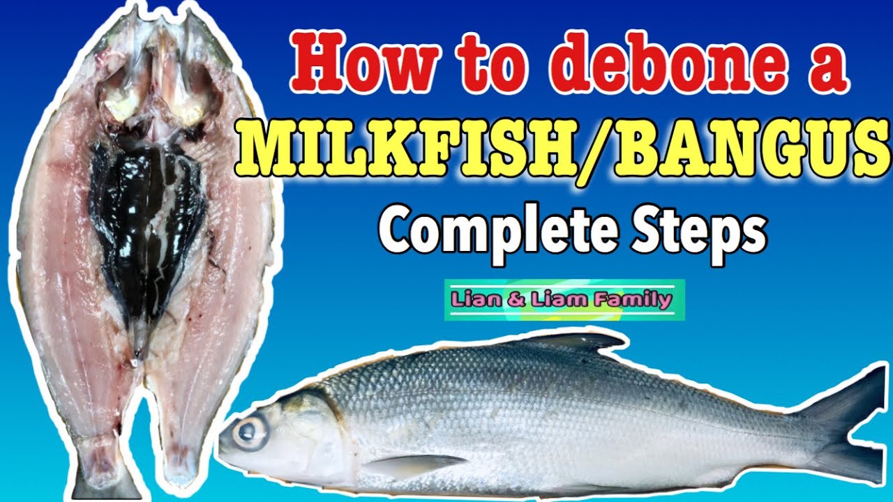 HOW TO DEBONE A MILKFISH BANGUS Complete Steps For Deboning A Bangus HOW TO DEBONE A MILKFISH BANGUS Complete Steps For Deboning A Bangus