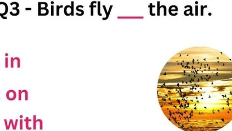 Preposition Quiz /English Grammar Skill