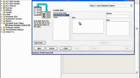 Stonefield Query Cross Tab Report