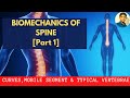 BIOMECHANICS OF SPINE # Curves |Mobile segment| Typical Vertebra | Spondlyolithesis [ Part 1]