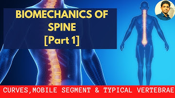 BIOMECHANICS OF SPINE # Curves |Mobile segment| Typical Vertebra | Spondlyolithesis [ Part 1]