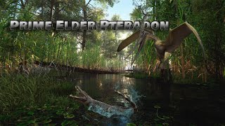 The Legendary Journey of a Prime Elder Pteradon!