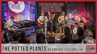 The Potted Plants on Shockoe Sessions Live! #livemusic #indiemusic
