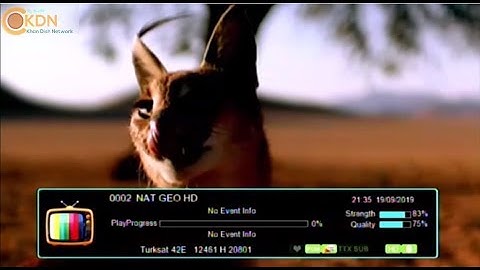 Fox Network 42e Softcam for 1506g 1506t 1506f 1507g