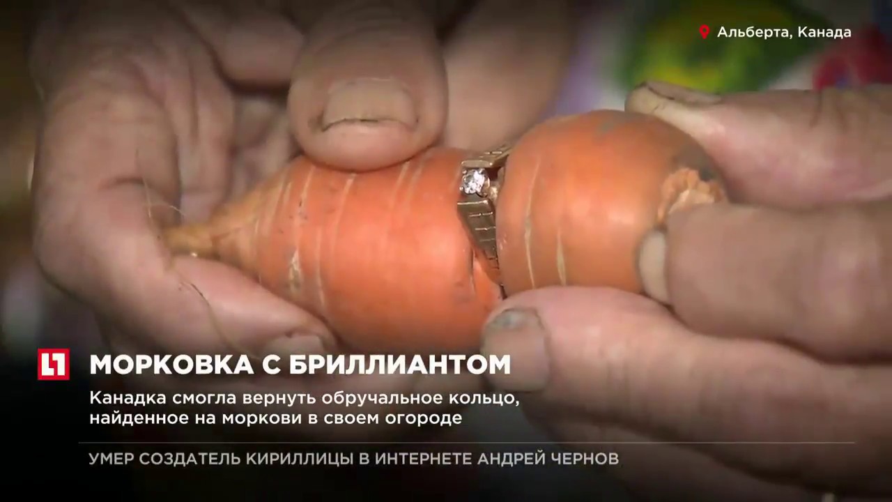 Смотреть Тайное послание от советского Нострадамуса Николая Носова видео Смотреть Тайное послание от советского Нострадамуса Николая Носова видео