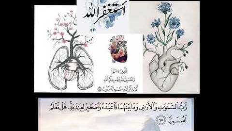 رَبُّ السَّمَاوَاتِ وَالْأَرْضِ وَمَا بَيْنَهُمَا _ القارئ عبد الرحمن مسعد