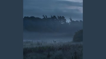 Where the Fence Ends