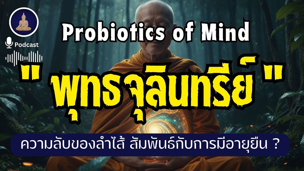 พุทธจุลินทรีย์  ความลับของลำไส้ที่สัมพันธ์กับการทำสมาธิและการมีอายุยืน I #นะโมพุทธายะ
