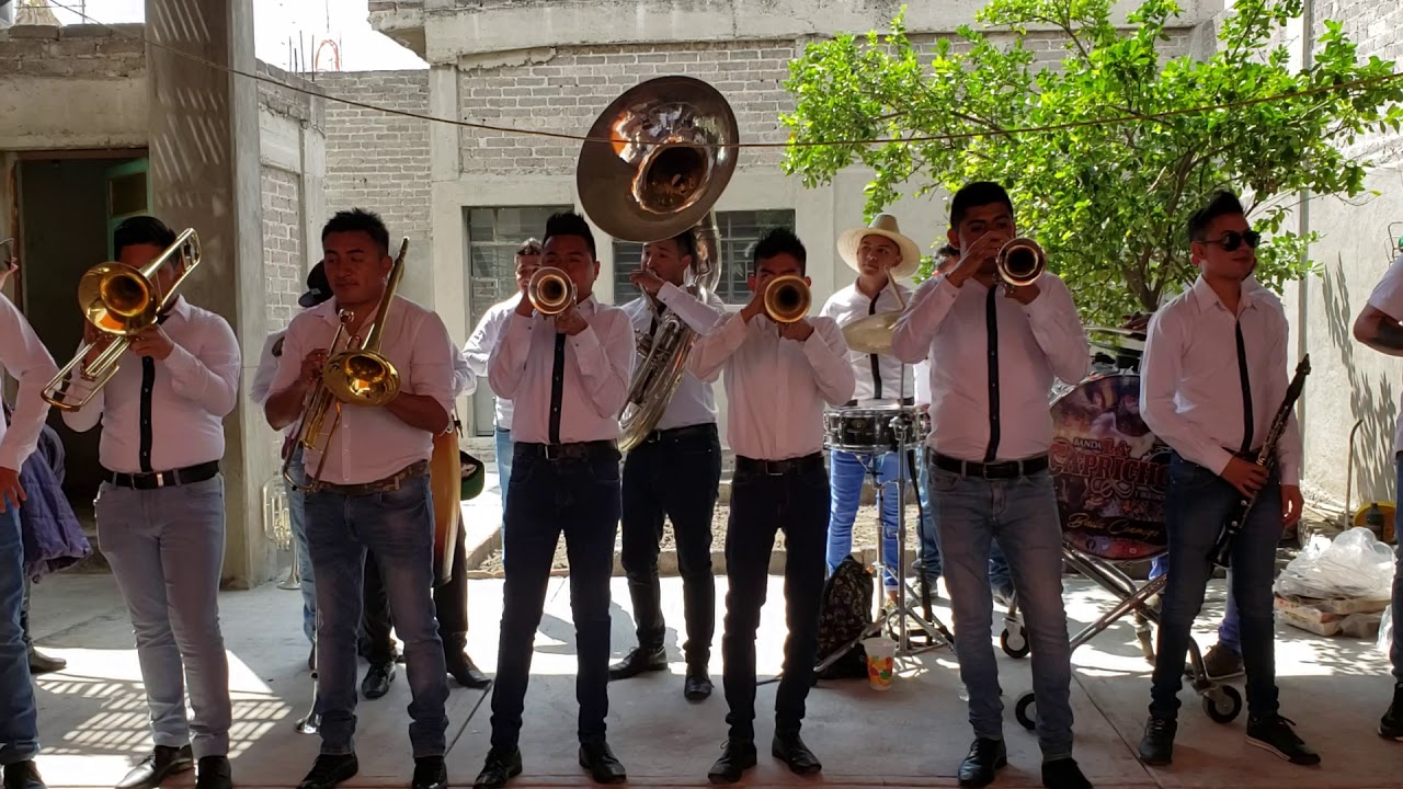 La Cumbia Jarocha-Banda La Caprichosa (Santa Cruz Meyehualco 2019)