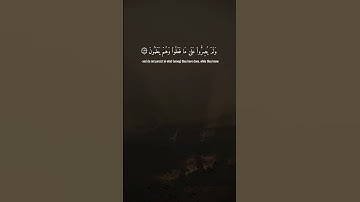 سورة آل عمران { ١٣٥ ــ ١٣٦ } #قران_كريم #quran #ماهر_المعيقلي