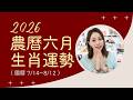 2026丙午馬年｜農曆六月生肖運勢 (7/14-8/12)｜12生肖每月運勢｜雨揚樂活家族