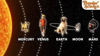 Planets As Animals - To Scale 3D Mass Comparison