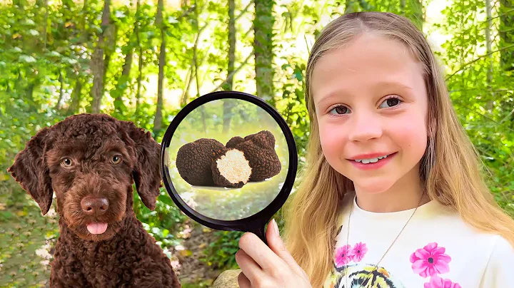 Giống như Nastya và bố chơi trong rừng. Những câu chuyện hay nhất dành cho trẻ em