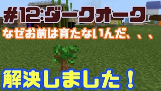 マイクラ 12 黒樫 ダークオーク 育たない 解決しました 育て方教えます Youtube