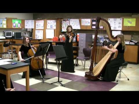 Violin, Cello and Harp perform Canon in D - Pachel...