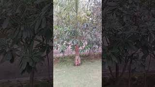 निसर्ग सोदर्य   #nature#song#enjoy#yutubshort#