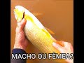 REI OU RAINHA? #Shorts