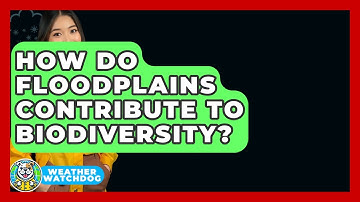 How Do Floodplains Contribute To Biodiversity? - Weather Watchdog