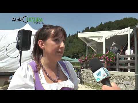 AGRICULTURA VENETA  | 06/08/2023