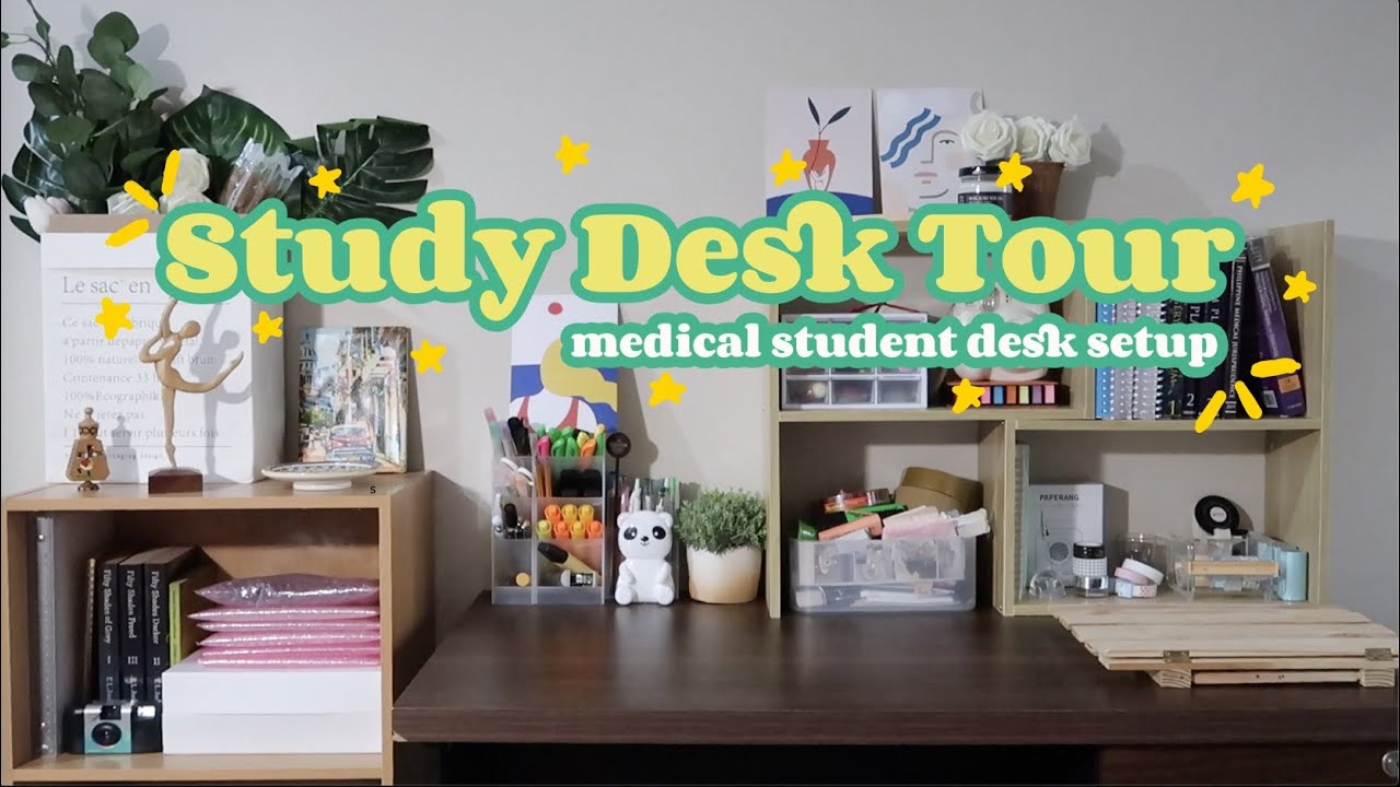 Medical Student Study Desk Setup (for Online Classes and Boards Review