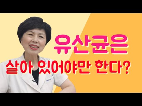 유산균을 먹어도 효과가 없다면? 프로바이오틱스/유산균 생성물질/죽어서도 역활을 하는 유산균