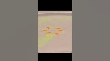 🖊️💧 Why Fluorescent Ink Fades in Water