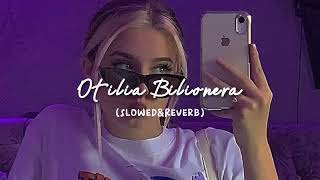 Otilia - Bilionera (slowed & Reverb)MELODY ♡︎