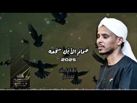 احمد فتح الله البندول ياحمام الأيك سجعه حفل العود دبي 2025