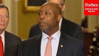 Famous JUST IN: Tim Scott Wins Chairmanship Of The National Republican Senate Committee Profile