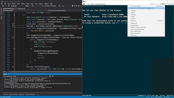 0035 (part 1)  - Custom C++ Web Server: chasing down bugs... 🐛🐜🦗🕷🐞🐝