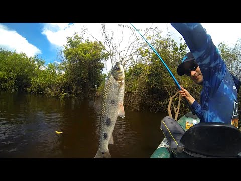 Pesca de piau com varinha de mão. Dicas, técnica e prática.