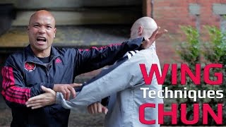 Wing Chun techniques wing chun kung fu - Grab and chop to throat screenshot 4