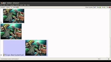 racket values video 1/4 --- expressing values