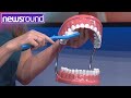 Dentist's Advice for How to Brush Your Teeth | Explained 🦷 | Newsround