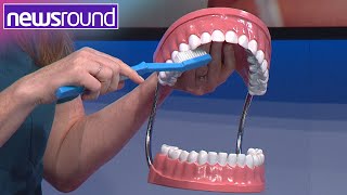 Dentist's Advice for How to Brush Your Teeth | Explained  | Newsround