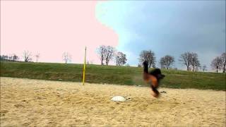 gainer crash