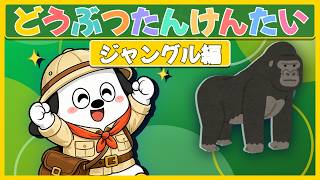 アニメキャラクター 飛び跳ねる動物 ジャングルのどうぶつを みつけよう！たんけんアニメ｜mojileeTV